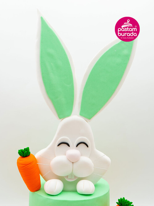 Diş Buğdayı Tavşan Konsept Pasta