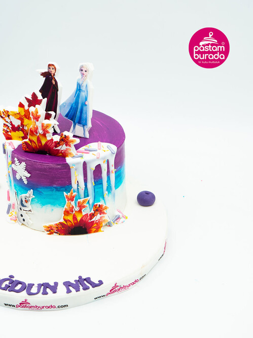 Elsa Konsept Tasarım Pasta