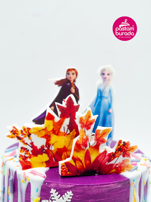 Elsa Konsept Tasarım Pasta