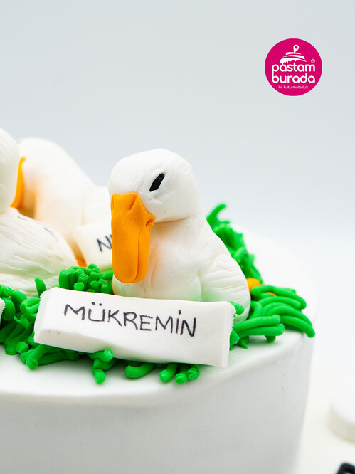 Ördek Detay Konsept Pasta