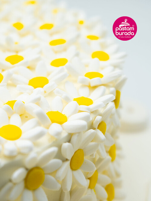 Papatya Detaylı Konsept Pasta