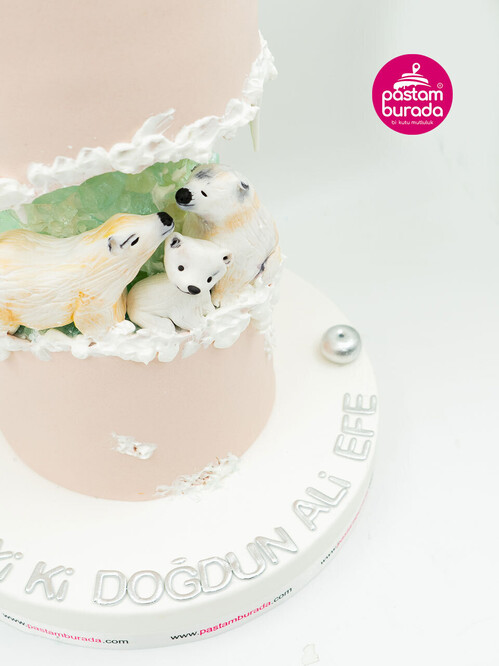 Penguen Tasarım Pasta