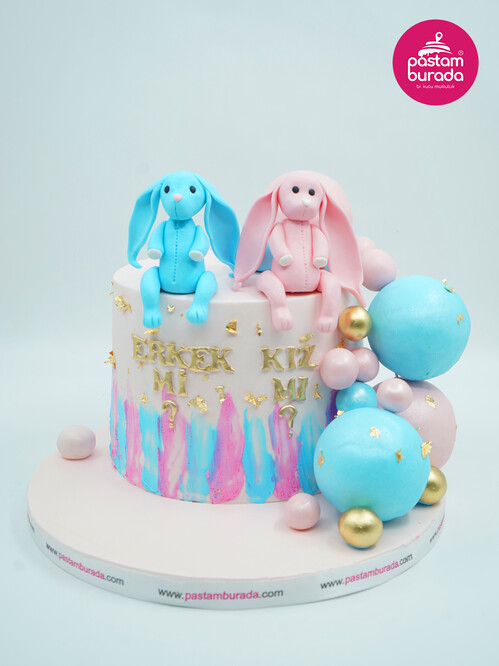 Cinsiyet Partisi Konsept Pasta