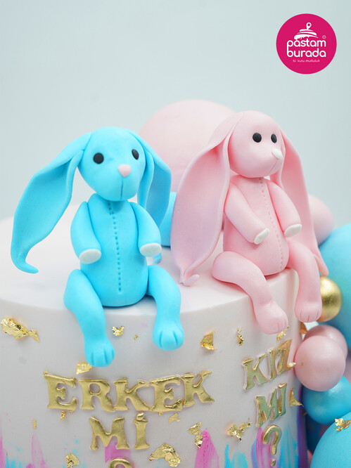 Cinsiyet Partisi Konsept Pasta