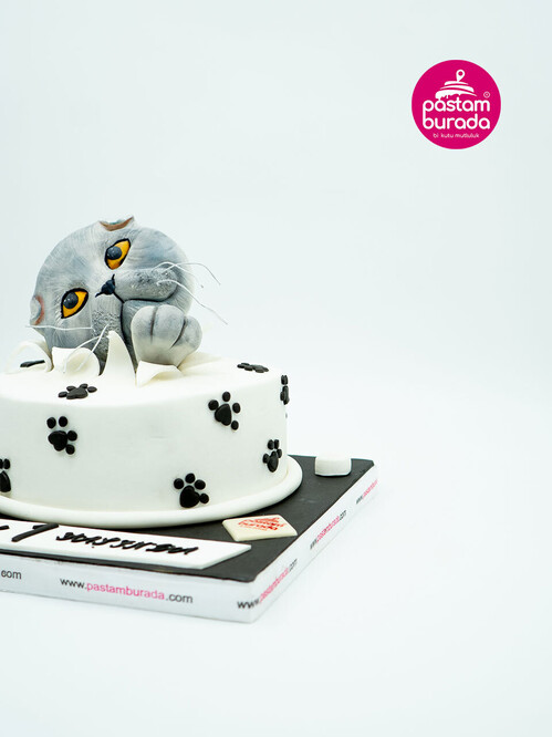 Kedi Detaylı Butik Pasta