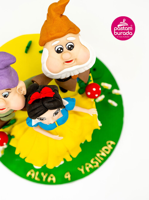 Kırmızı Başlıklı Kız Butik Pasta