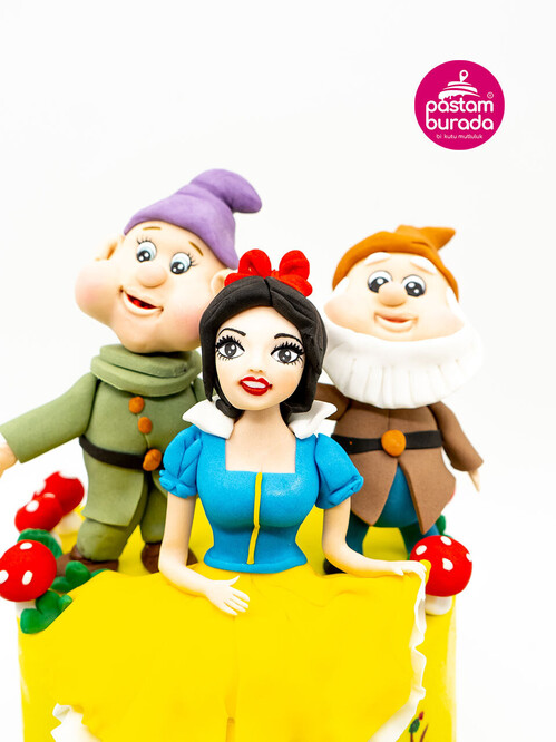 Kırmızı Başlıklı Kız Butik Pasta