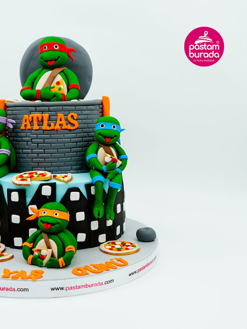 Ninja Kaplumbağalar Konsept Pasta