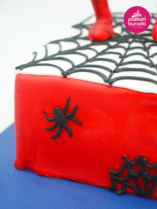 Spiderman ve Elsa Konsept Pasta