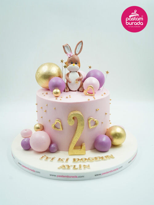 Tavşan Detaylı Konsept Pasta