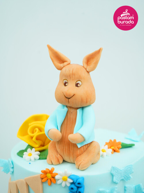 Tavşan ve Ördek Konsept Pasta