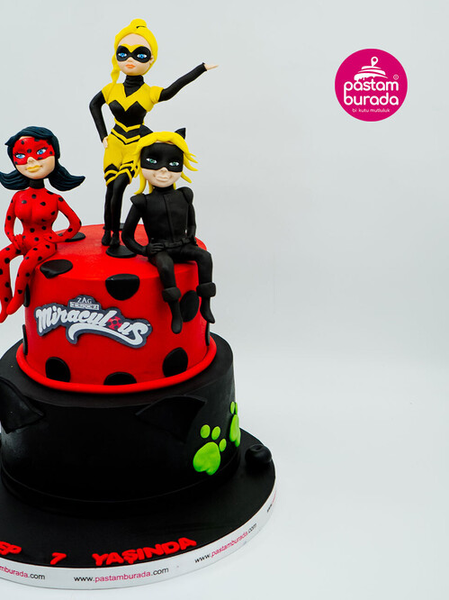 Uğur Böceği ve Kara Kediler Pasta