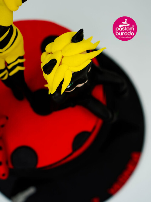 Uğur Böceği ve Kara Kediler Pasta