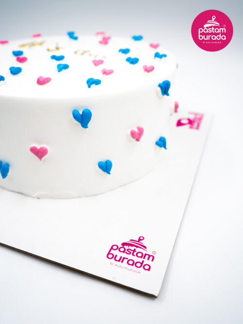 Cinsiyet Partisi Konsept Naked Cake