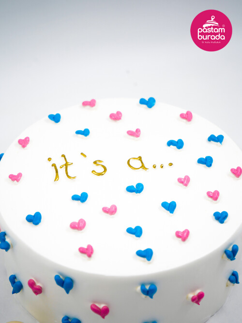 Cinsiyet Partisi Konsept Naked Cake