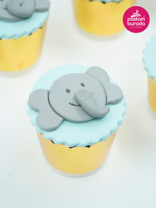 Hayvanlar Alemi Cupcake