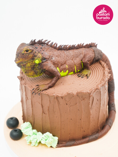 İguana Tasarım Pasta