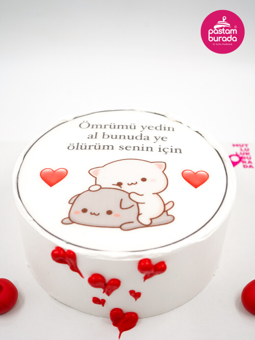 Karikatür Resimli Pasta