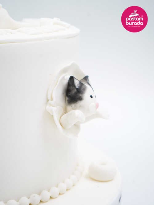 Kedi Detay Tasarım Pasta