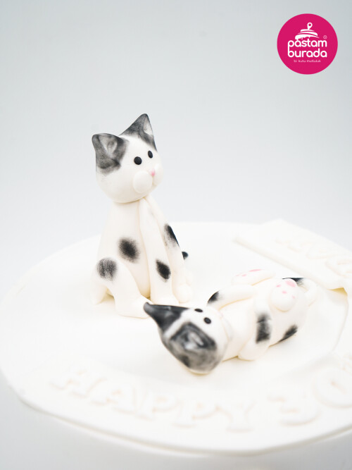 Kedi Detay Tasarım Pasta