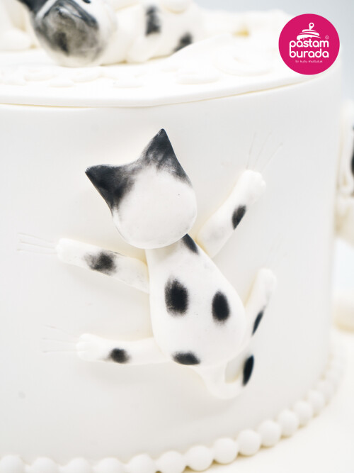 Kedi Detay Tasarım Pasta