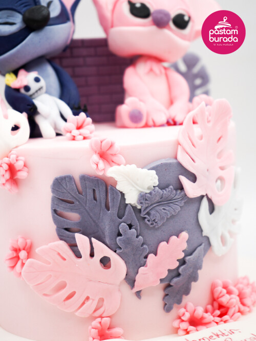 Mavi Ve Pembe Sevimli Karakter Pasta