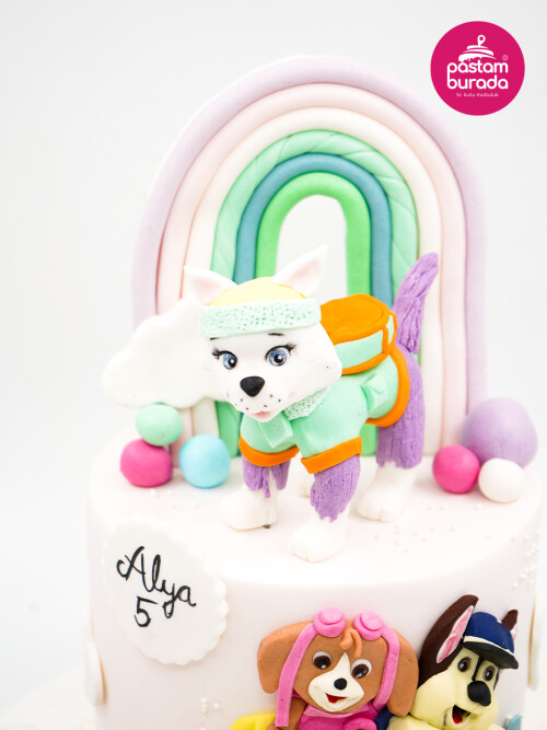 Paw Petrol Konsept Pasta