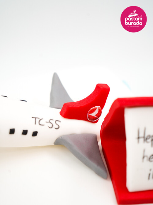 Uçak Detay Tasarım Pasta