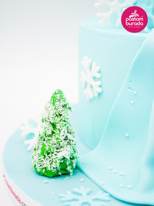 Karlar Ülkesi Konsept Pasta