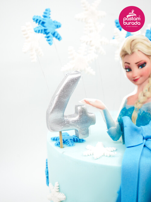 Karlar Ülkesi Tasarım Pasta