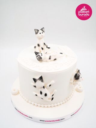 Kedi Detay Tasarım Pasta