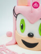 Amy Rose Sonic Pasta