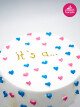 Cinsiyet Partisi Konsept Naked Cake